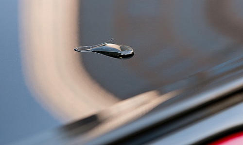 Meo Cham Soc Xe Hay 1